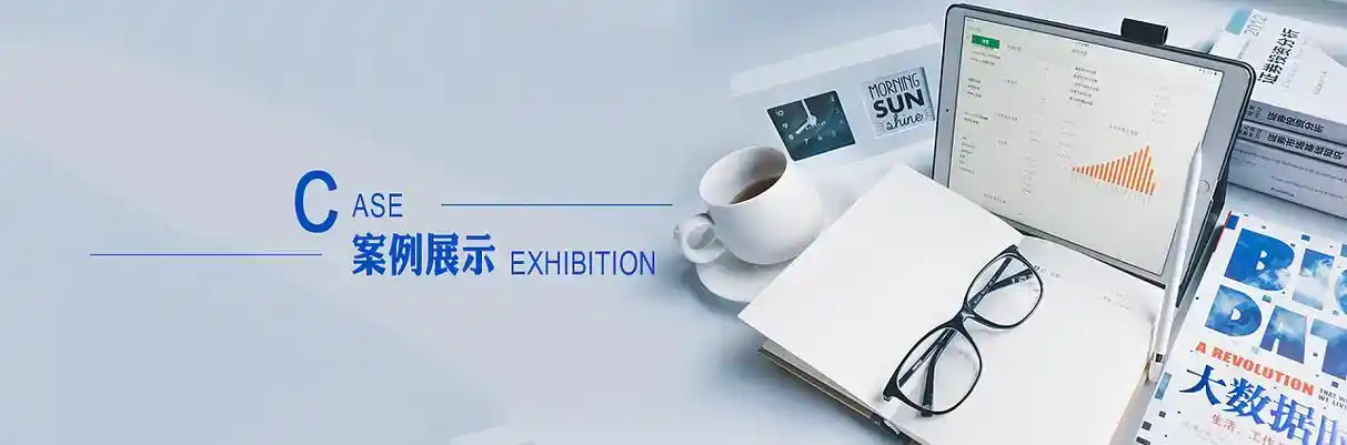 林芝县软件开发